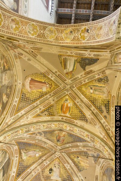Voûtes peintes d'une chapelle latérale de l'église Santa Croce de Florence. Photo © Alex Medwedeff