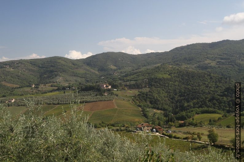 Collines de Vitigliano dans la région de Chinati. Photo © Alex Medwedeff