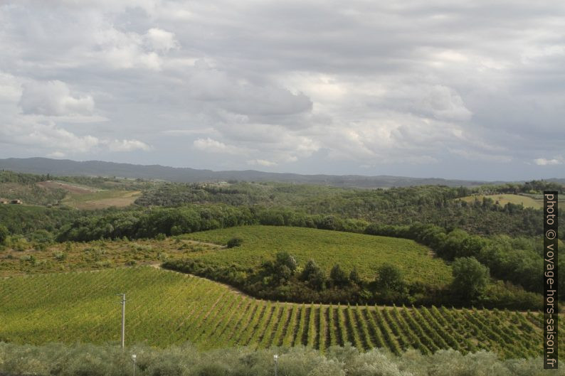 Champs de vignes autour de Monteriggioni. Photo © Alex Medwedeff