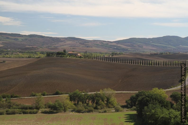 Allée de cyprès menant à l'Agriturismo Poggio Covili. Photo © Alex Medwedeff