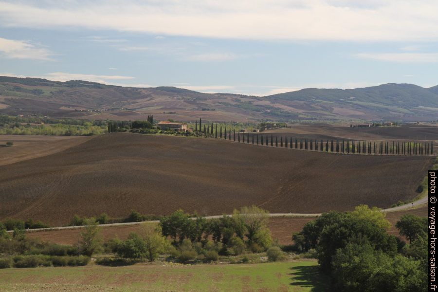 Allée de cyprès menant à l'Agriturismo Poggio Covili. Photo © Alex Medwedeff