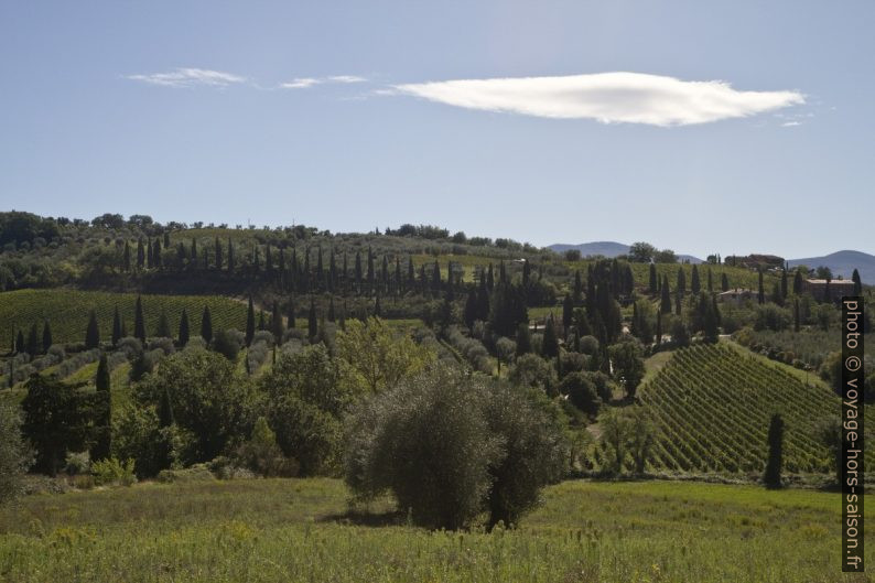 Paysage toscan près de l'Abbaye de Sant'Antimo. Photo © Alex Medwedeff