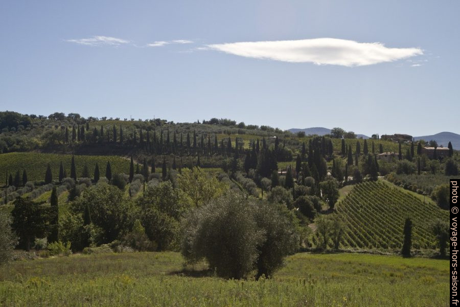 Paysage toscan près de l'Abbaye de Sant'Antimo. Photo © Alex Medwedeff