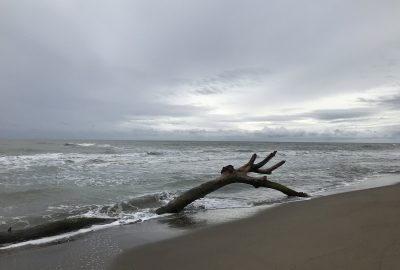 Bois mort à la plage de Marina di Alberese. Photo © Alex Medwedeff