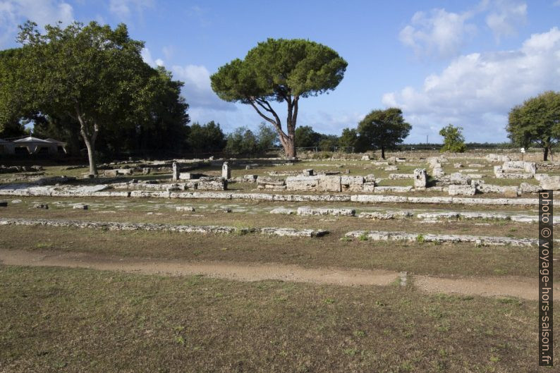 Quartiers résidentiels de Paestum au sud-ouest des temples. Photo © André M. Winter