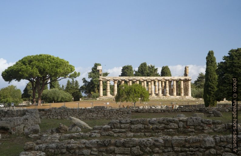 Vue vers le Temple d'Athéna de Paestum. Photo © Alex Medwedeff