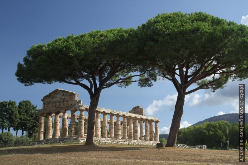 Il Tempio di Atena di Paestum. Photo © Alex Medwedeff