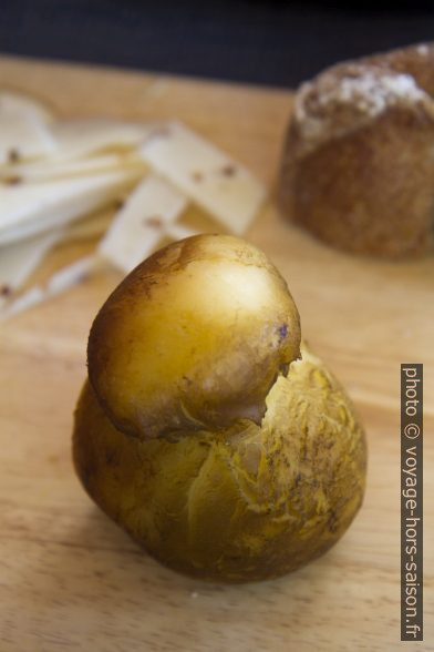 Fromage scamorza au lait de buffle réellement fumé. Photo © Alex Medwedeff