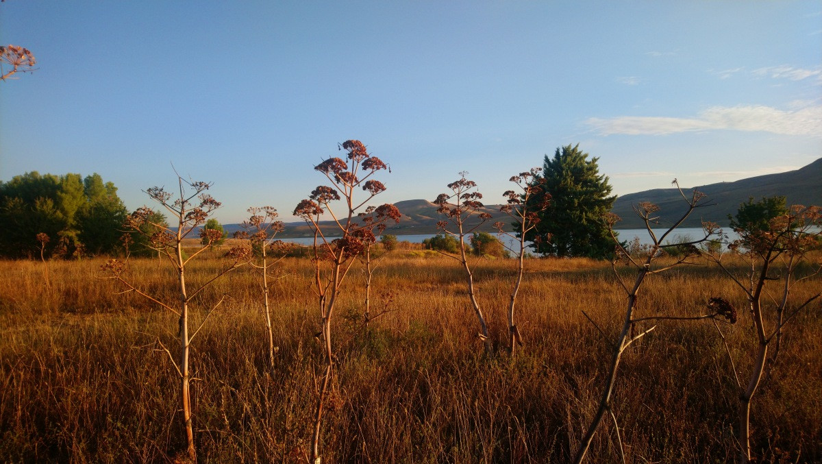 Paysage autour du Lago di Serra di Corvo. Photo © André M. Winter