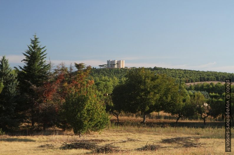 Le Castel del Monte vu depuis le sud-ouest. Photo © Alex Medwedeff