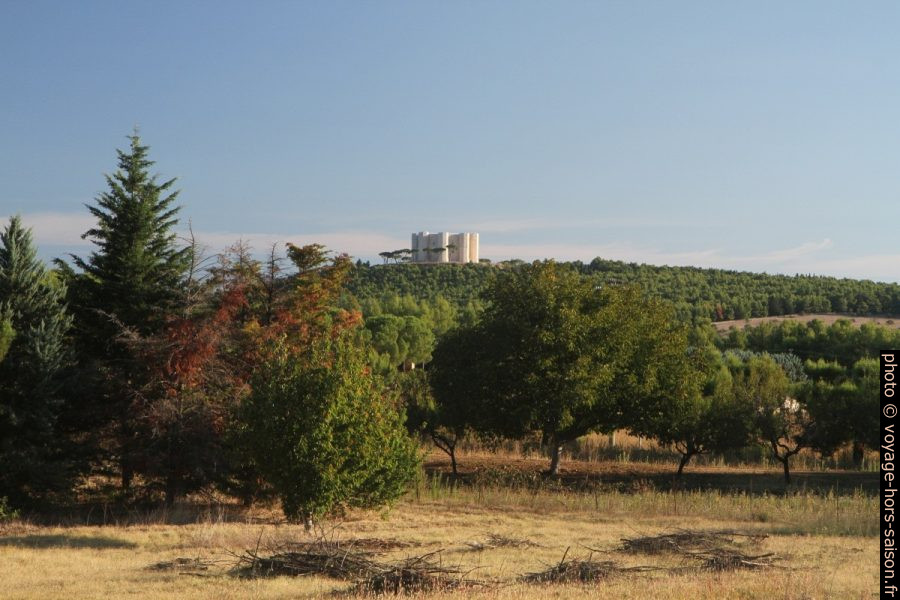 Le Castel del Monte vu depuis le sud-ouest. Photo © Alex Medwedeff