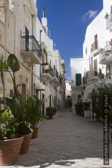 Une ruelle de maisons blanches à Polignano. Photo © Alex Medwedeff