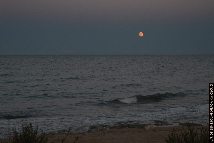 La lune se lève. Photo © Alex Medwedeff