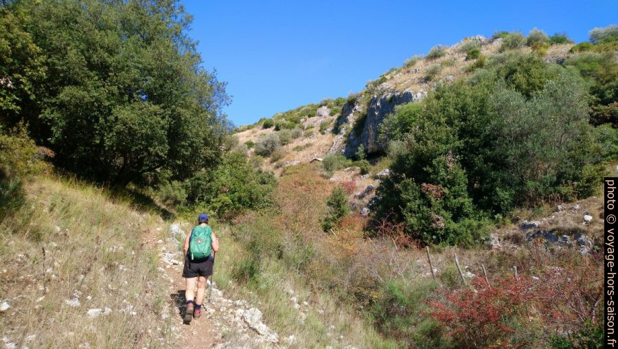 Alex vers le milieu du Valle dell'Inferno di Gargano. Photo © André M. Winter