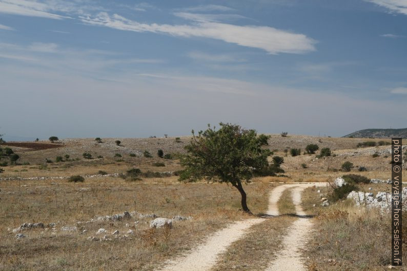 Chemin sur le plateau du Massif de Gargano. Photo © Alex Medwedeff