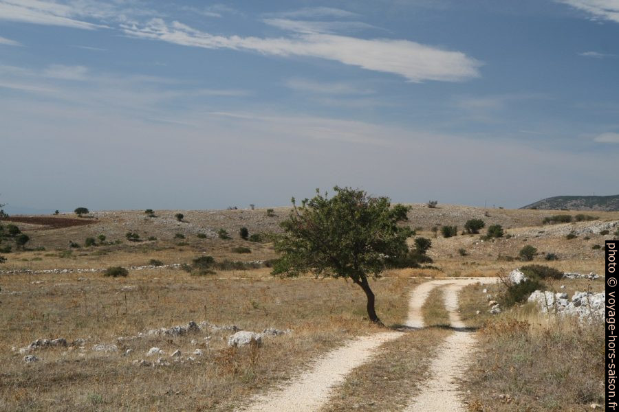 Chemin sur le plateau du Massif de Gargano. Photo © Alex Medwedeff