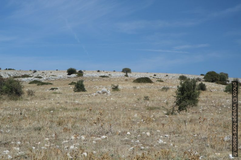 Plateau du Massif de Gargano. Photo © Alex Medwedeff