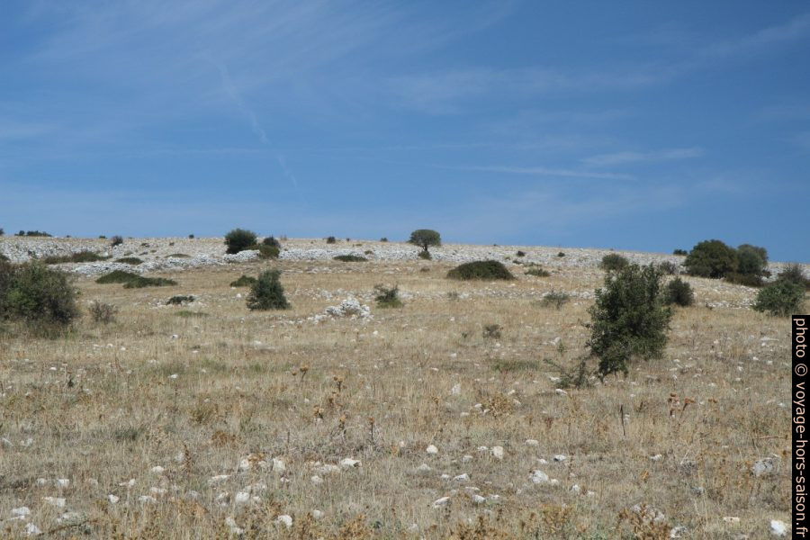 Plateau du Massif de Gargano. Photo © Alex Medwedeff