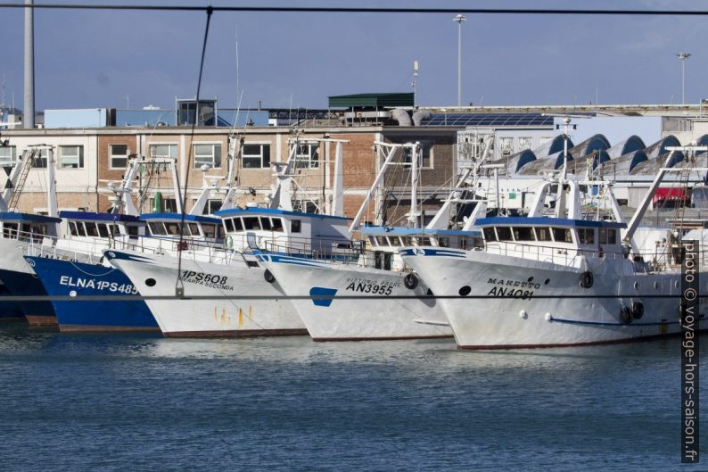 Bateaux de pêche sur le Mole Sud d'Ancône. Photo © André M. Winter