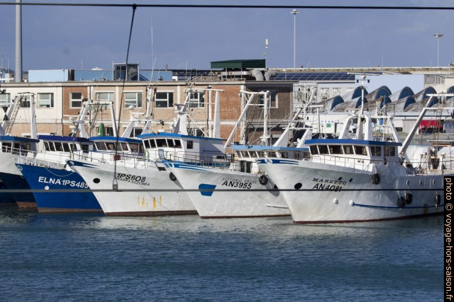 Bateaux de pêche sur le Mole Sud d'Ancône. Photo © André M. Winter