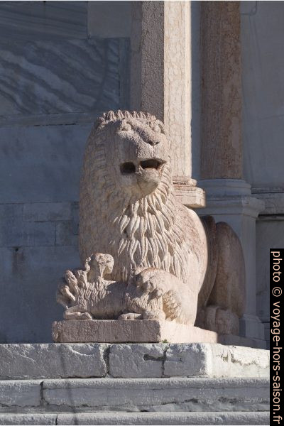 Lion stylophore gauche de la cathédrale d'Ancône. Photo © André M. Winter