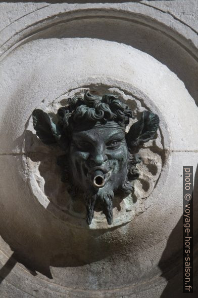 Une bouche de la Fontana del Calamo. Photo © Alex Medwedeff