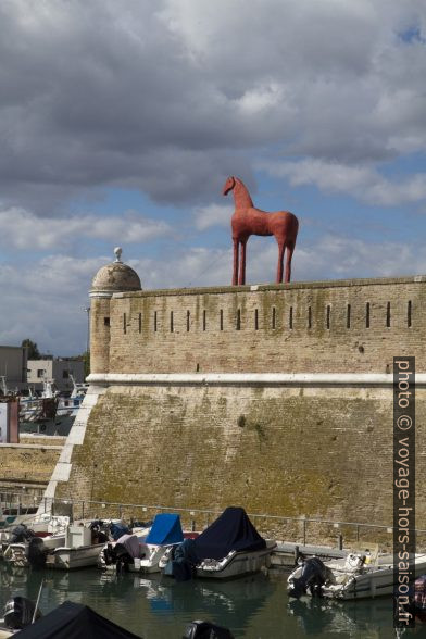 Un cheval rouge sur le lazaret d'Ancône. Photo © Alex Medwedeff