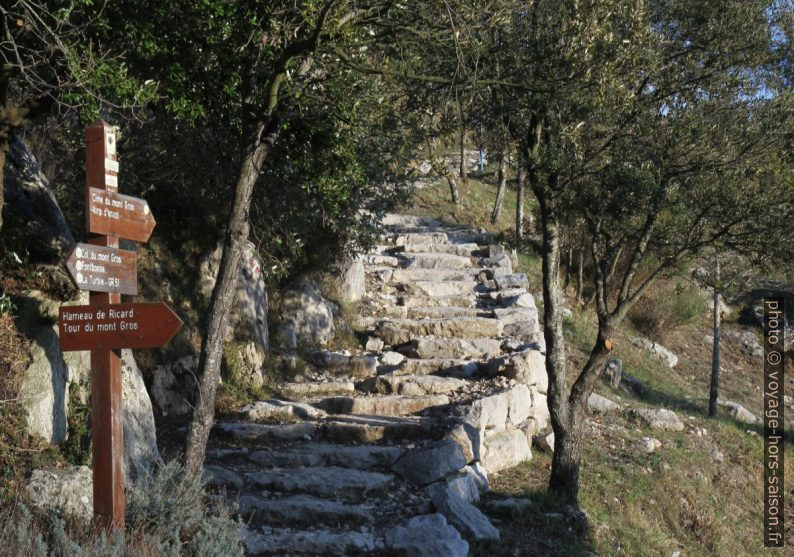 Escalier vers l'aire d'envol du Mont Gros. Photo © Alex Medwedeff