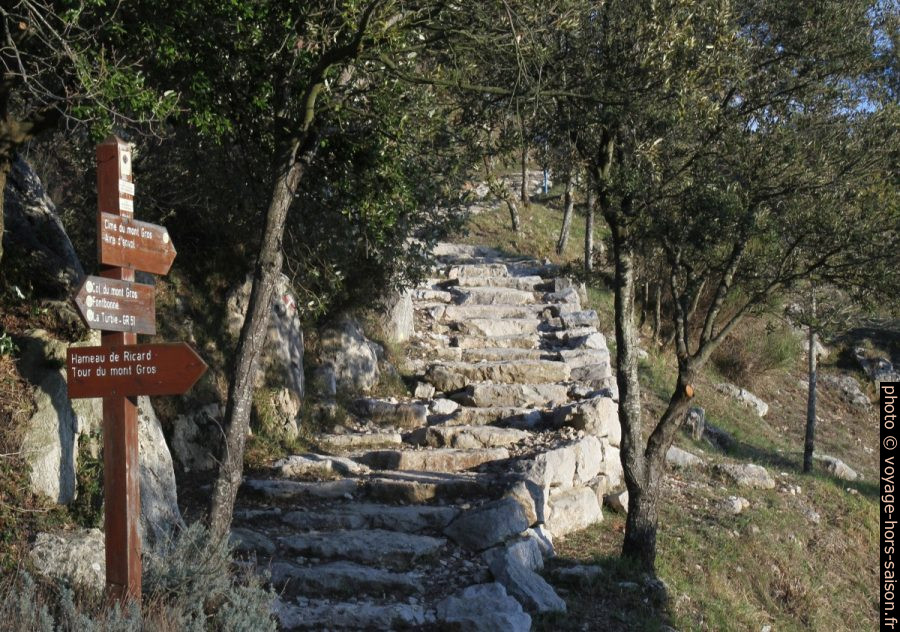 Escalier vers l'aire d'envol du Mont Gros. Photo © Alex Medwedeff