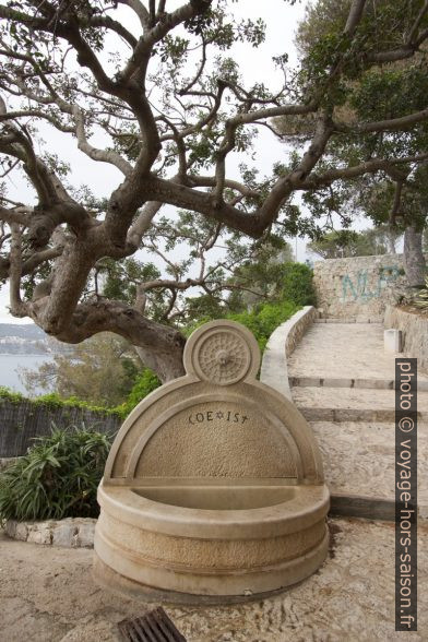 Fontaine coexist. Photo © André M. Winter