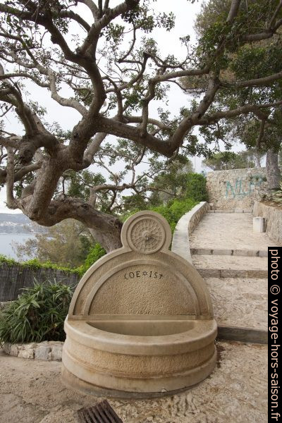Fontaine coexist. Photo © André M. Winter