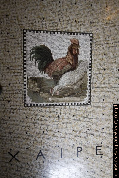 Mosaïque alexandrine du Thyrôreion de la Villa Kérylos. Photo © André M. Winter