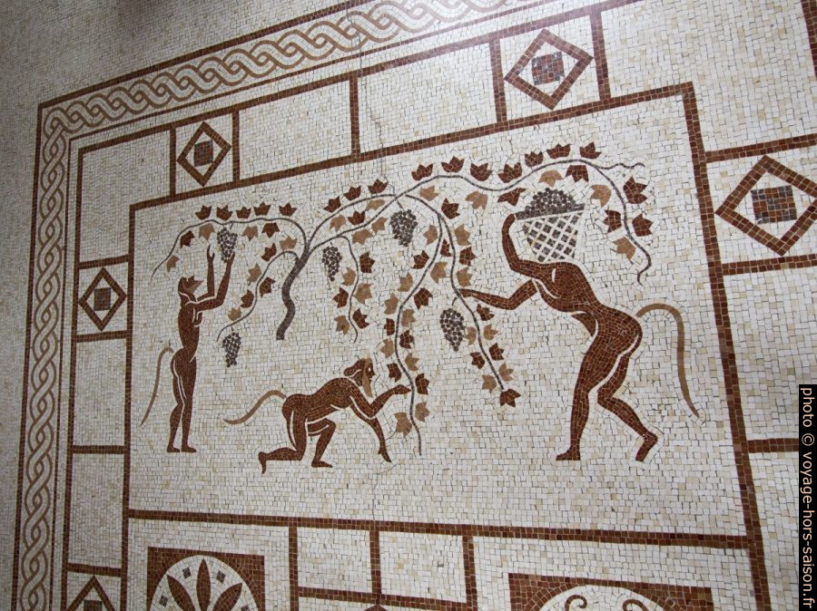 Mosaïque de faunes vendangeant dans l'Oïkos de la Villa Kérylos. Photo © André M. Winter
