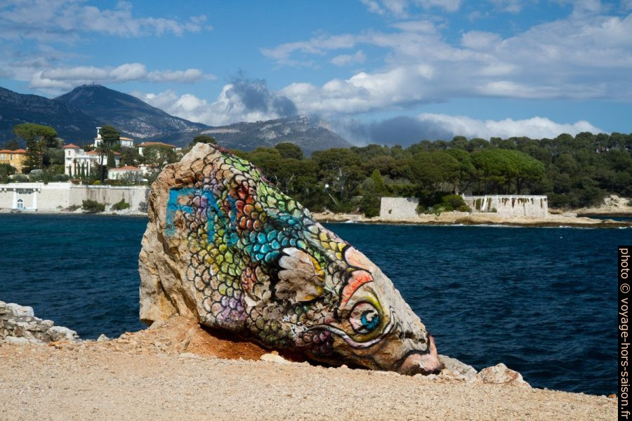 Graffiti de poisson sur un rocher de la même forme. Photo © Alex Medwedeff