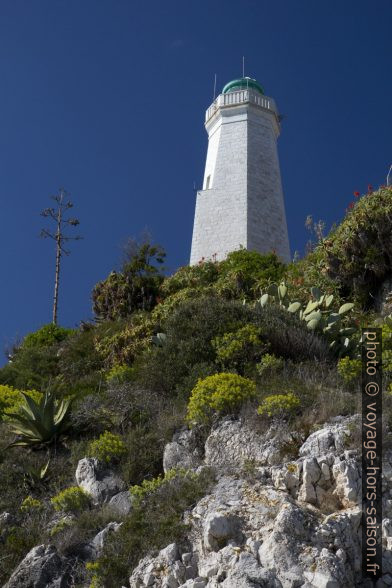 Phare du Cap Ferrat. Photo © Alex Medwedeff