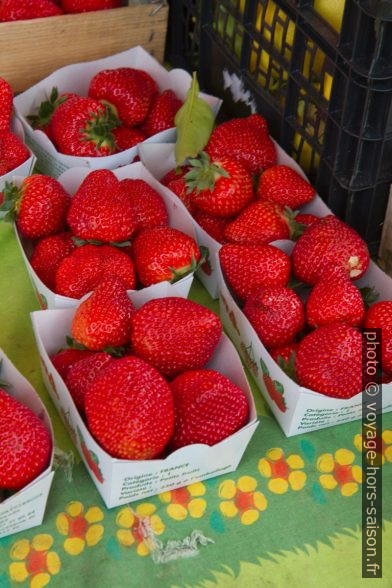 Fraises au marché de Valbonne. Photo © Alex Medwedeff