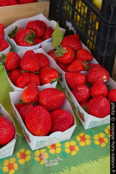 Fraises au marché de Valbonne. Photo © Alex Medwedeff