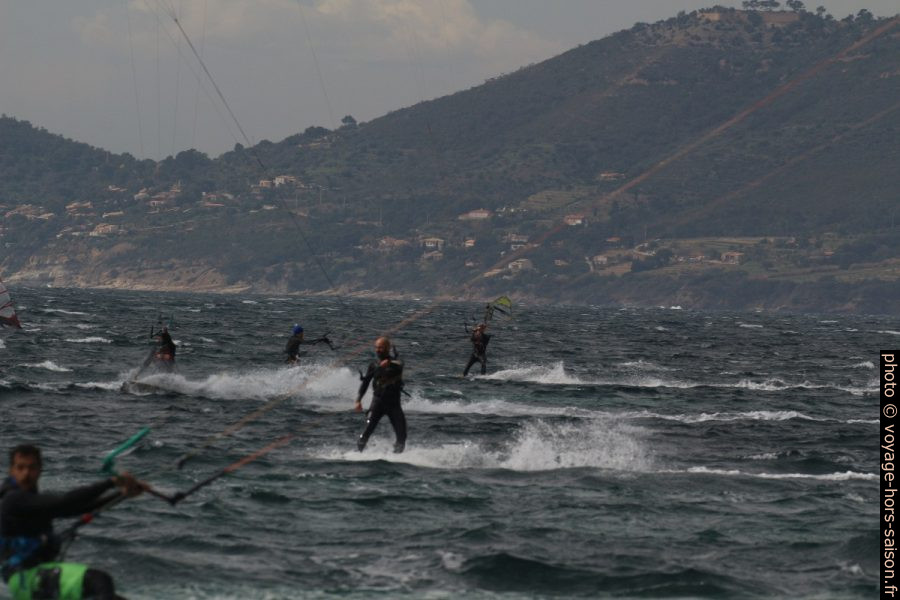 Grande activité dans l'eau dans la Rade de Giens. Photo © André M. Winter