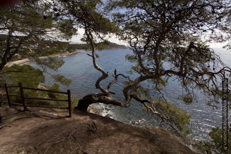 Vue vers la Plage de la Coudoulière. Photo © André M. Winter