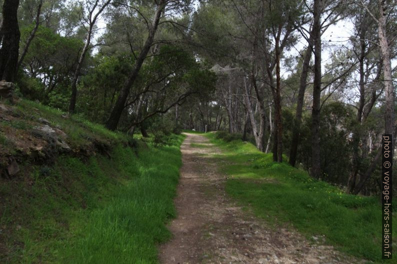 Le chemin piétonnier forestier Ardisonne sous le col. Photo © André M. Winter