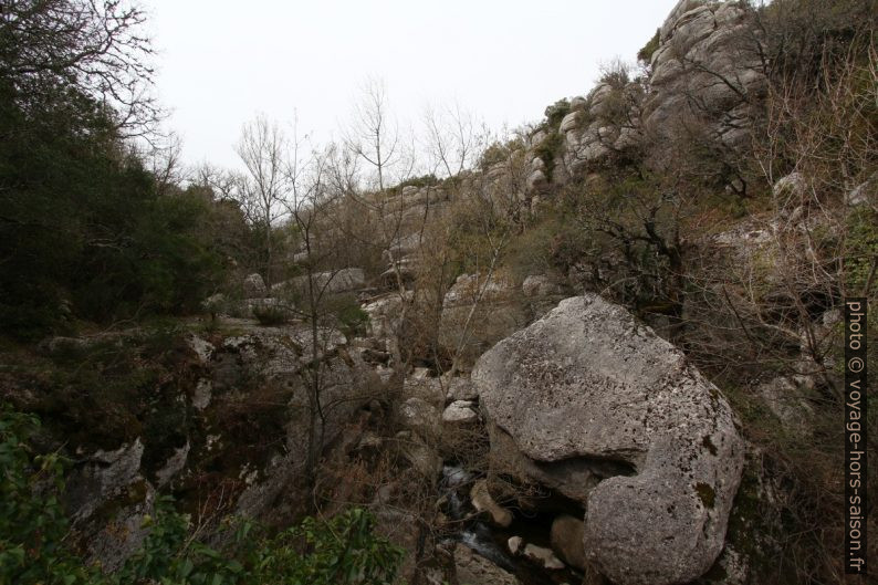 Végétation dans les Gorges du Caramy. Photo © André M. Winter