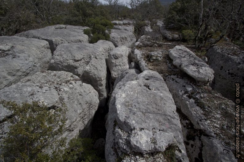 Plateau karstique de la Caïre de Sarrasin. Photo © André M. Winter