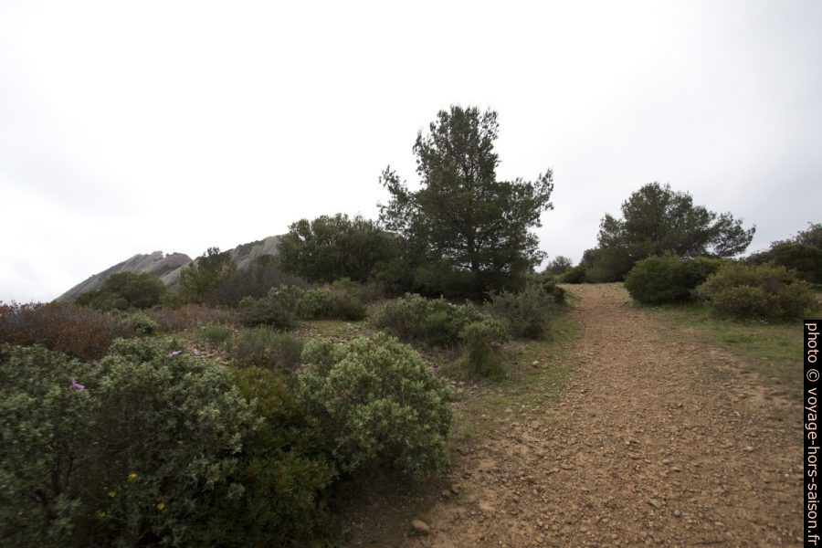 Chemin en bord de falaise entre le Parc du Mugel et l'Anse de Figuerolles. Photo © André M. Winter