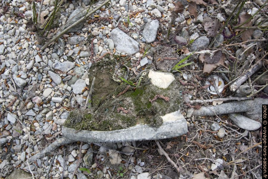 Une chaussure couverte de mousse. Photo © André M. Winter