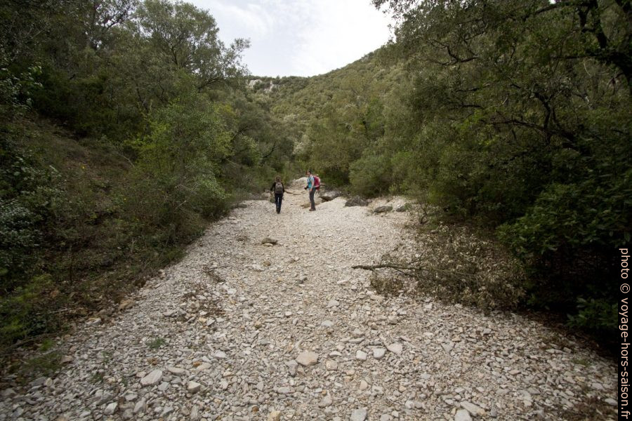 Dans la basse Combe de Rastenclas. Photo © André M. Winter