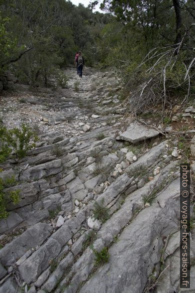 Strates calcaire fines rabotées dans la Combe de Rastenclas. Photo © André M. Winter