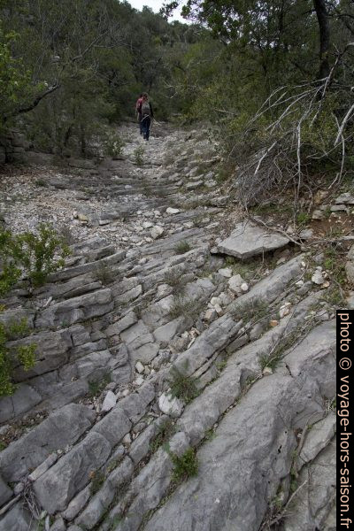 Strates calcaire fines rabotées dans la Combe de Rastenclas. Photo © André M. Winter