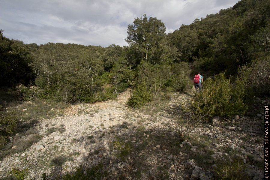 Montée de la Combe de Rastenclas sur la Piste de l'Euzière. Photo © André M. Winter