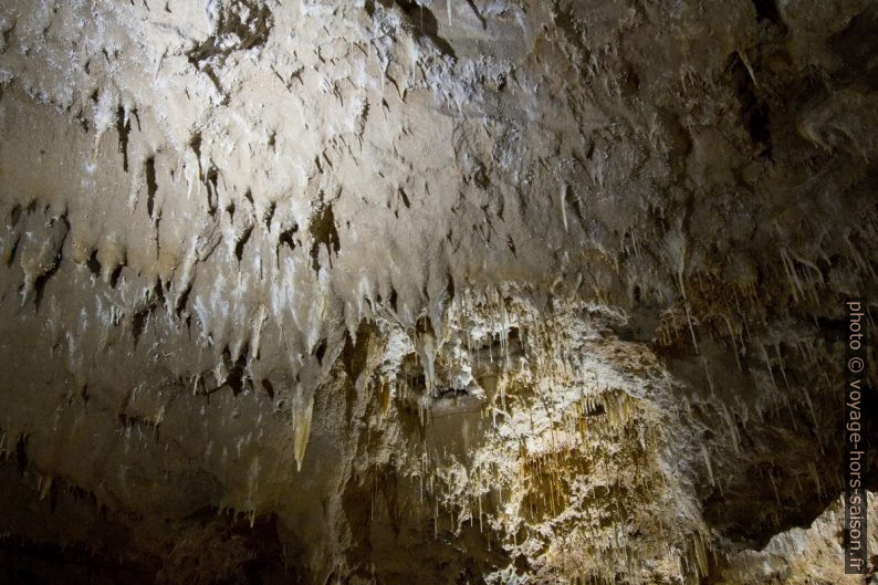 Voûte couverte de concrétions diverses dans la Grotte de Clamouse. Photo © André M. Winter