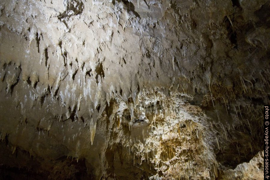 Voûte couverte de concrétions diverses dans la Grotte de Clamouse. Photo © André M. Winter